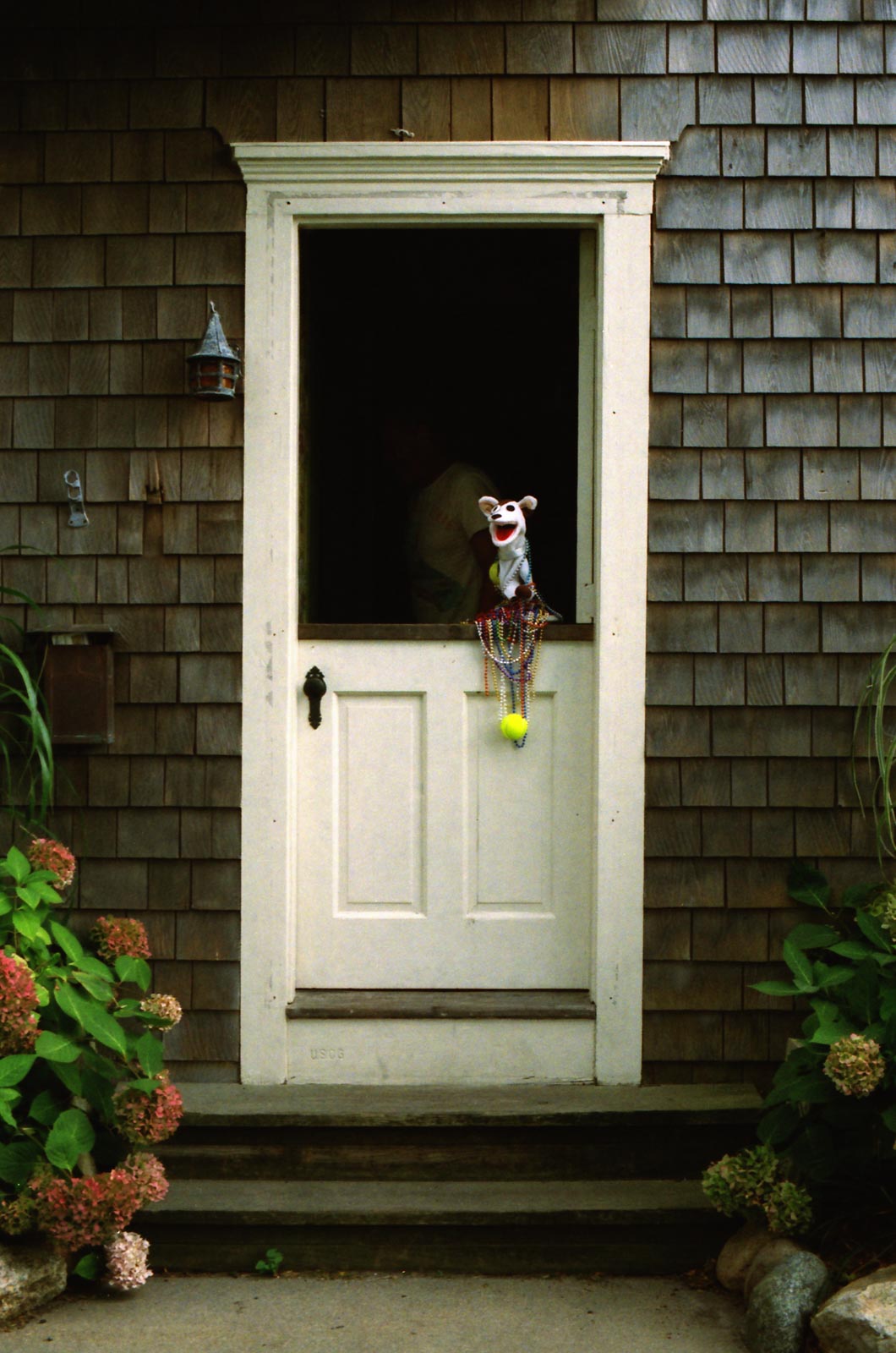 Wintry Mountain Landscape